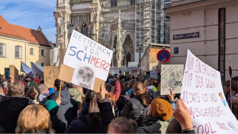 Demos gegen rechts – Kontrastprogramm in Wiesenfelden und Regensburg